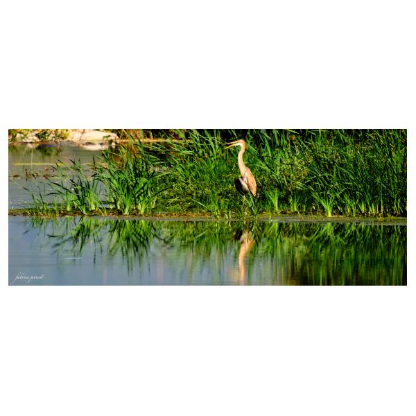 PHOTO84, CLUB, 84 , LUBERON